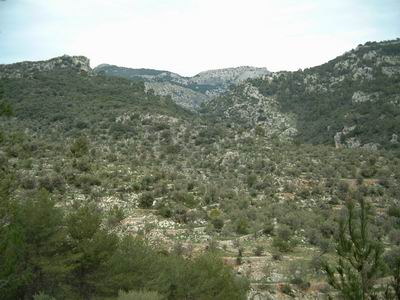 DSCF0038.JPG